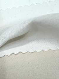 1830 Poly-Tencel™ Modal Fiber Broadcloth[Textile / Fabric] Kuwamura Textile Sub Photo