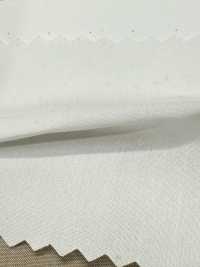 SBT-003 Organic ECO No Pattern[Textile / Fabric] Kuwamura Textile Sub Photo