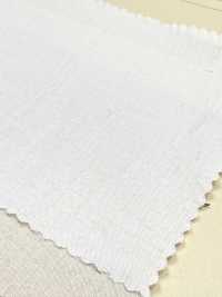A-7039 Sun-dried (Sun-dried)[Textile / Fabric] ARINOBE Sub Photo