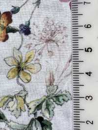 DP-5000-1 60 Lawn Digital Print Botanical[Textile / Fabric] HOKKOH Sub Photo