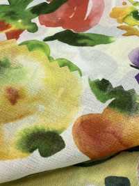8026-590-2 80 Chiffon Voile Fruits[Textile / Fabric] HOKKOH Sub Photo
