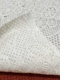 7026-430-1 Lace JQ Geometric[Textile / Fabric] HOKKOH Sub Photo