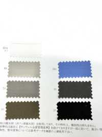 11565 Cotton/Nylon Typewriter Cloth Gloss Water-Repellent (C0)[Textile / Fabric] SUNWELL Sub Photo