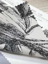 KKP3601-D66 New Venus Deshin[Textile / Fabric] Uni Textile(Komon Studio) Sub Photo