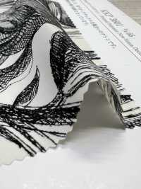 KKP3601-D66 New Venus Deshin[Textile / Fabric] Uni Textile(Komon Studio) Sub Photo