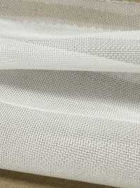 BL70000 Monofila Sheer Double Knit[Textile / Fabric] BELL TEX Sub Photo