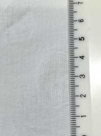 28119 80 Thread Lawn Salt Shrink Print Dot Pattern[Textile / Fabric] SUNWELL Sub Photo