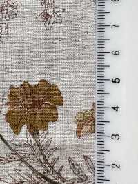 7026-1710-4 CL Loomstate Botanical Pattern[Textile / Fabric] HOKKOH Sub Photo