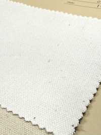 INDIA-2154 INDIA DUCK[Textile / Fabric] ARINOBE Sub Photo