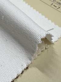 INDIA-2154 INDIA DUCK[Textile / Fabric] ARINOBE Sub Photo