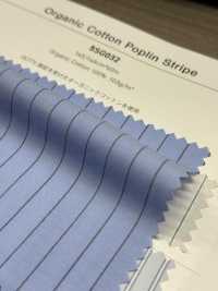 5SG032 Organic Cotton Poplin Stripes[Textile / Fabric] Chambray Sub Photo