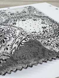 7026-1600-6 80/240 Lace[Textile / Fabric] HOKKOH Sub Photo