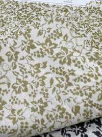 7026-1610-1 60 Lawn 9088 Squirrel And Grapes[Textile / Fabric] HOKKOH Sub Photo