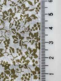 7026-1610-1 60 Lawn 9088 Squirrel And Grapes[Textile / Fabric] HOKKOH Sub Photo