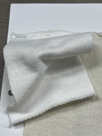 W-48377 Vintage Champion Fleece II[Textile / Fabric] Minami Sub Photo