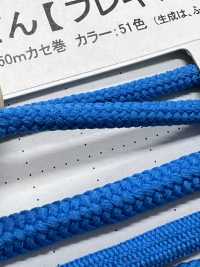2AY Flexy 4.2mm[Ribbon Tape Cord] Cordon Sub Photo