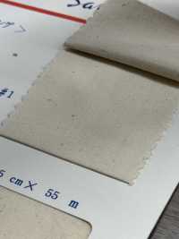 綿シーチング-55.5 Cotton Loomstate 55.5 Meters Roll Maruhachi Sub Photo