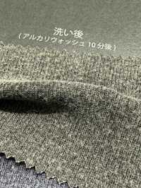 1078554GA The All-Purpose Pigment Milling Circular Rib[Textile / Fabric] TAKISADA NAGOYA Sub Photo