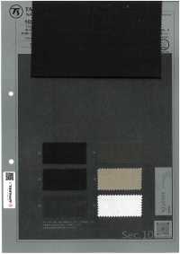 1026520 CHORUS Ramie X SOLOTEX® Lightweight Stretch Twill[Textile / Fabric] TAKISADA NAGOYA Sub Photo