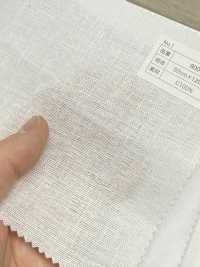 800 800[Interlining] No Name Sub Photo