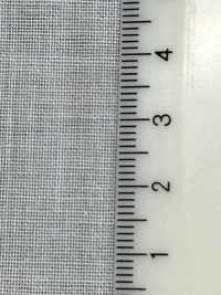 PH5500N PH5500N[Interlining] No Name Sub Photo