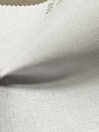 P1650N Cotton Polyester Dot Core[Interlining] No Name Sub Photo