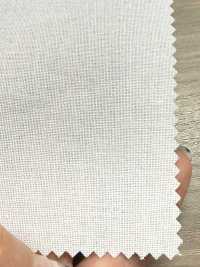 P1650N Cotton Polyester Dot Core[Interlining] No Name Sub Photo