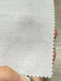 E300P Polyester Hard Type Dot Core[Interlining] No Name Sub Photo