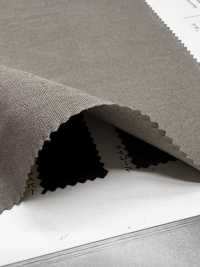2921 Linen Linen Weather Cloth Bio-Naturally Dry[Textile / Fabric] VANCET Sub Photo