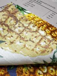 4247 Broadcloth Stylish Relax PINEAPPLE[Textile / Fabric] VANCET Sub Photo