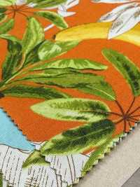 4257 Broadcloth Stylish Relax Banana & Leaves[Textile / Fabric] VANCET Sub Photo