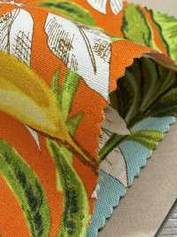 4257 Broadcloth Stylish Relax Banana & Leaves[Textile / Fabric] VANCET Sub Photo