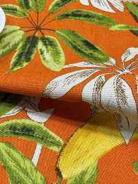 4257 Broadcloth Stylish Relax Banana & Leaves[Textile / Fabric] VANCET Sub Photo