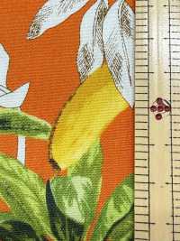 4257 Broadcloth Stylish Relax Banana & Leaves[Textile / Fabric] VANCET Sub Photo