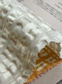 82168 Ripple Cross Random Check[Textile / Fabric] VANCET Sub Photo