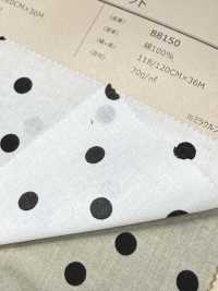 88150 80 Thread Yarn Lawn Random Polka Dot[Textile / Fabric] VANCET Sub Photo
