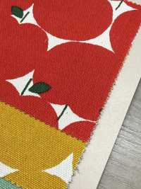 850551 Unbleached Oxford Cotton Apple Dots[Textile / Fabric] VANCET Sub Photo