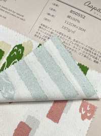 850552 Unbleached Oxford Cotton Aspara Stripe[Textile / Fabric] VANCET Sub Photo