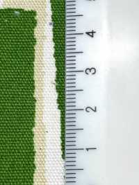 850552 Unbleached Oxford Cotton Aspara Stripe[Textile / Fabric] VANCET Sub Photo