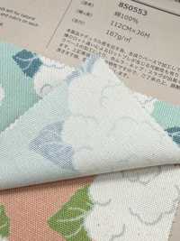 850553 Unbleached Oxford Cotton Cauliflower[Textile / Fabric] VANCET Sub Photo