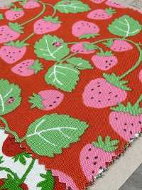 850593 Oxford Strawberry Party Strawberry Field[Textile / Fabric] VANCET Sub Photo