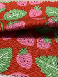 850593 Oxford Strawberry Party Strawberry Field[Textile / Fabric] VANCET Sub Photo