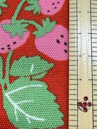 850593 Oxford Strawberry Party Strawberry Field[Textile / Fabric] VANCET Sub Photo