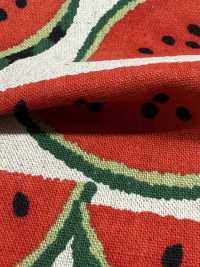 850594 Linen Canvas Watermelon[Textile / Fabric] VANCET Sub Photo