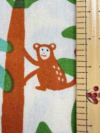 850600 Broadcloth, Stylish Pop: Tropical Monkey[Textile / Fabric] VANCET Sub Photo