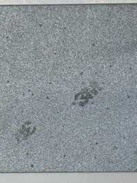 M-8912-PKK M-8912 Scotchlite Pinking Piping[Ribbon Tape Cord] STAR BRAND (Hoshika) Sub Photo