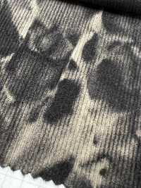 DCL445-SF 21W Mijinkoruten Decolore[Textile / Fabric] Kumoi Beauty Sub Photo