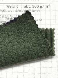 SBC1950 5W Corduroy Sun-dried Wash Finish[Textile / Fabric] SHIBAYA Sub Photo