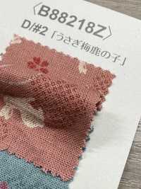 B88218Z Loomstate , Half-fold[Textile / Fabric] VANCET Sub Photo