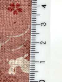 B88218Z Loomstate , Half-fold[Textile / Fabric] VANCET Sub Photo